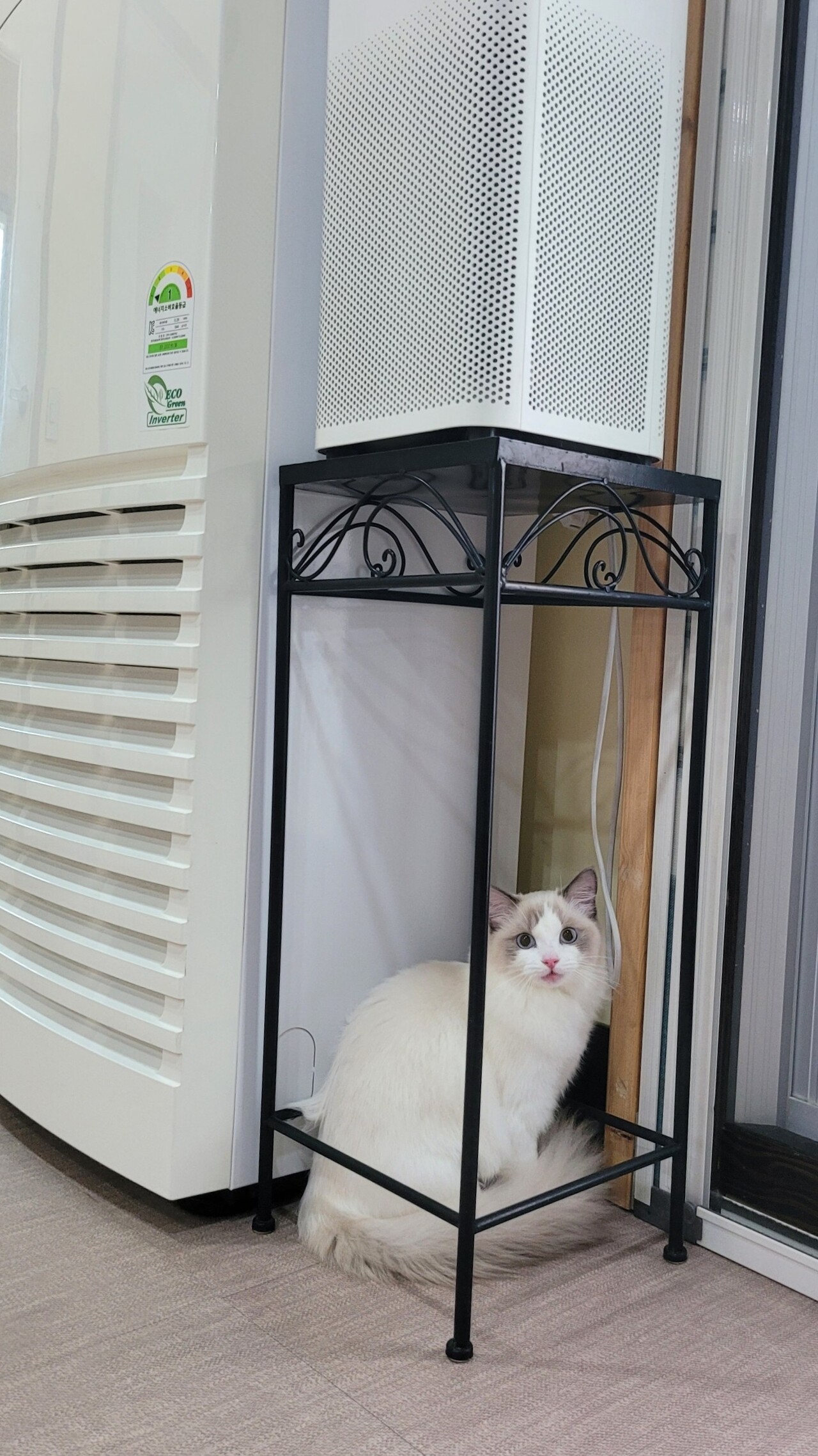 호텔메이 이미지