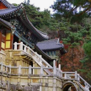  부처님오신날 오랜전통 유명한사찰 BEST 6곳
