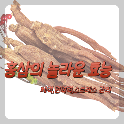  홍삼의 놀라운 효능: 체력, 면역력, 스트레스 관리
