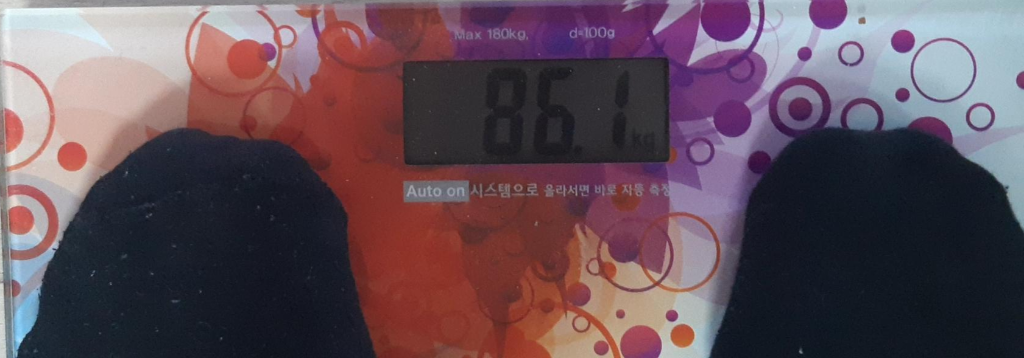  다이어트 10일차 86.9 ~ 86.1 kg