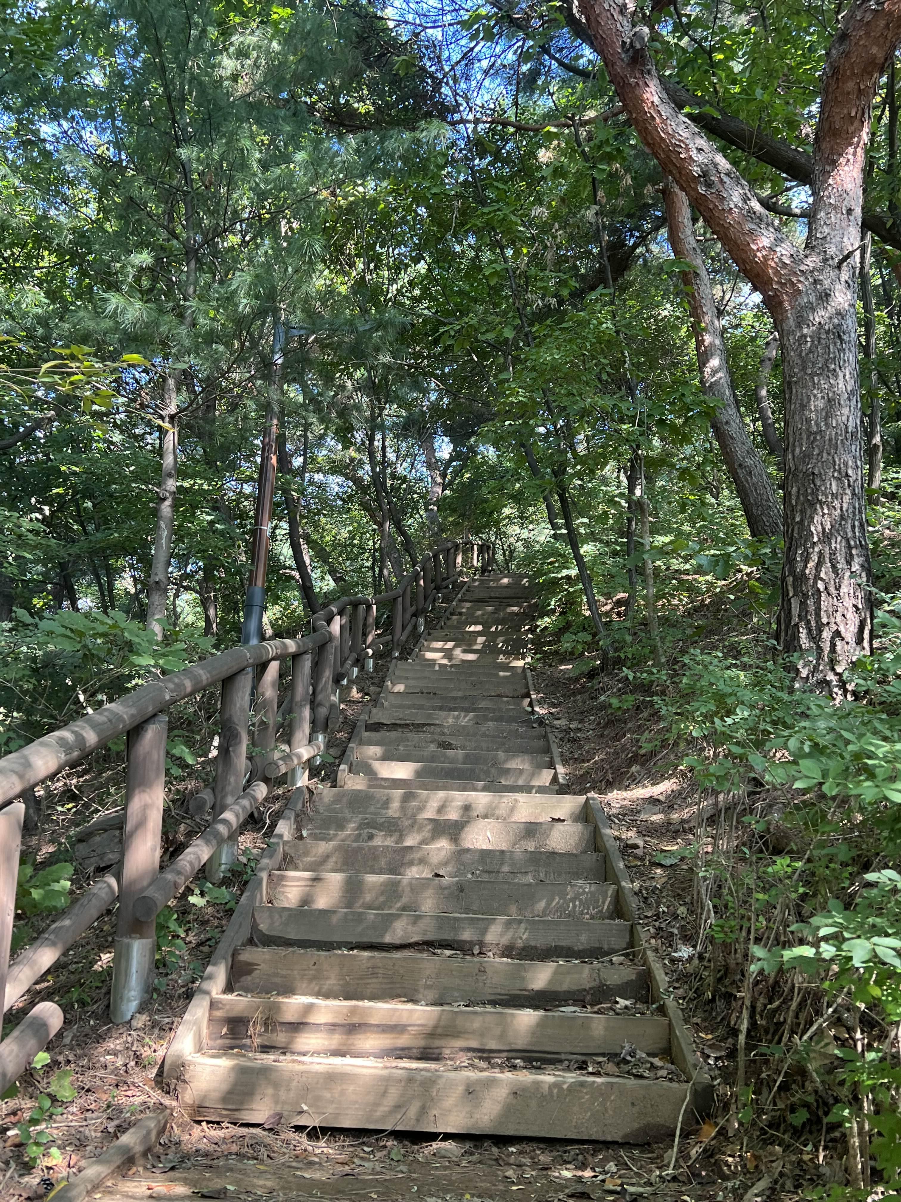 매봉산공원