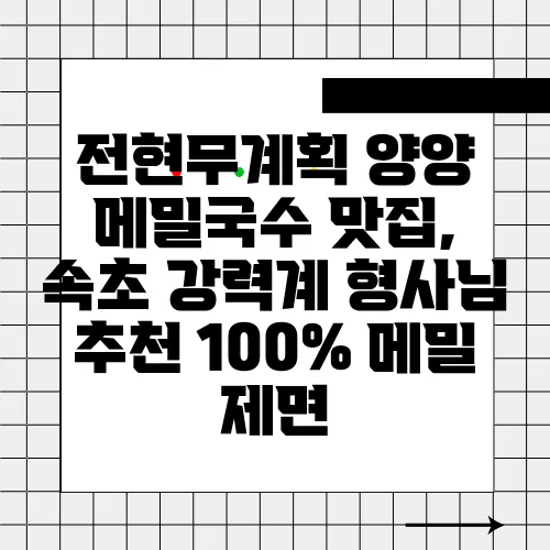 전현무계획 양양 메밀국수 맛집, 속초 강력계 형사님 추천 100% 메밀 제면