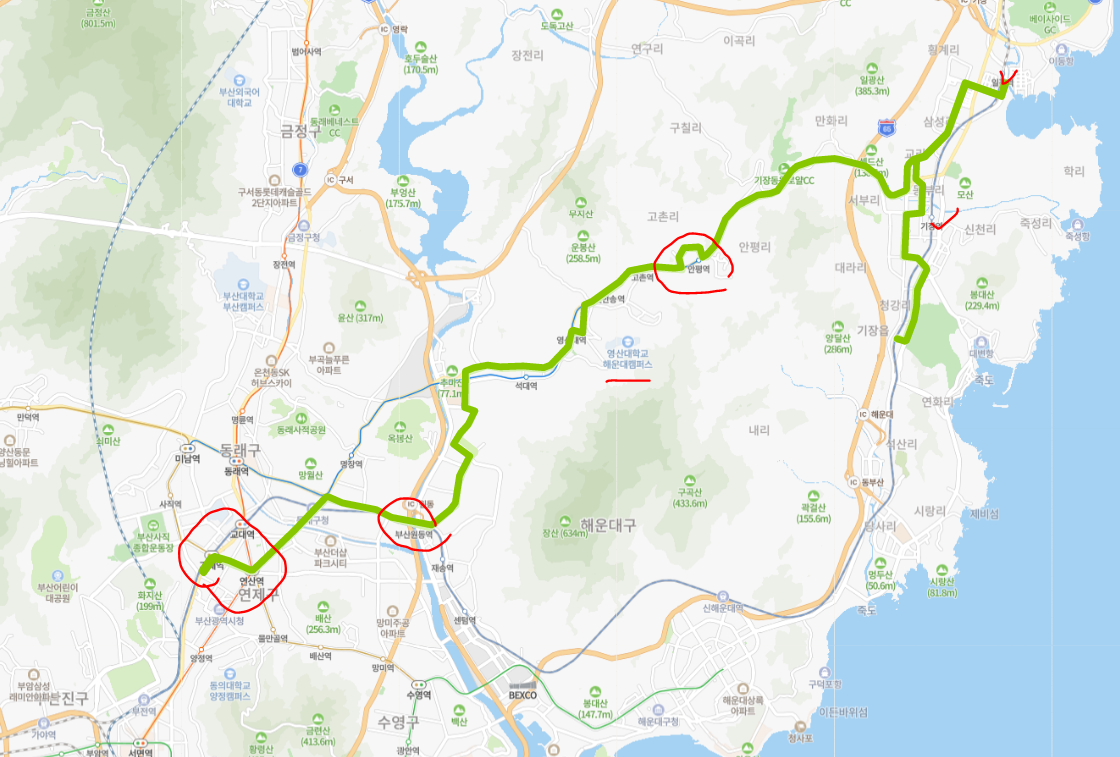  [부산] 36번버스 노선, 시간표 : 기장, 일광역, 영산대역, 부산원동역, 거제역