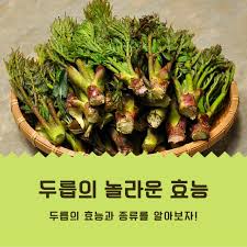두릅의 놀라운 13가지 효능