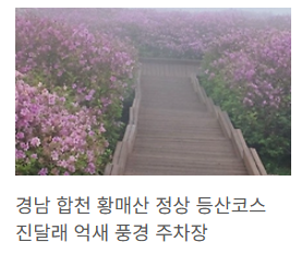 황매산