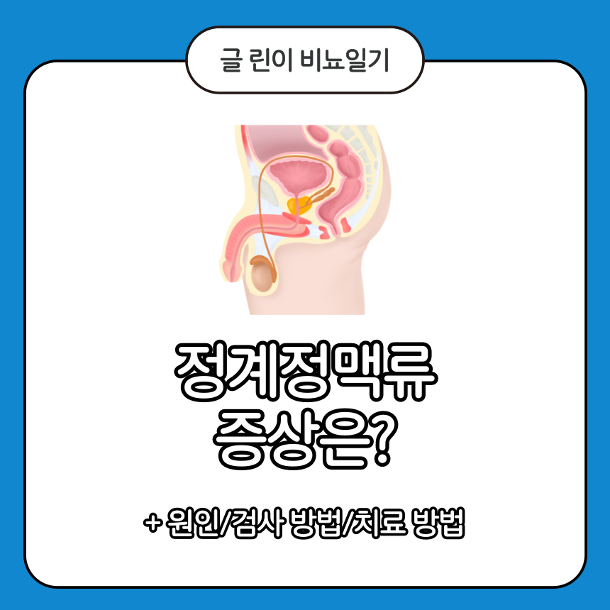  정계정맥류 증상은?