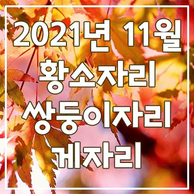  (황소자리, 쌍둥이자리, 게자리) 2021년 11월 은하별의 별자리 운세