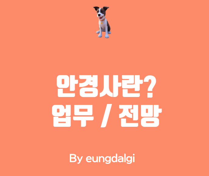  안경사에 대한 정보성 글