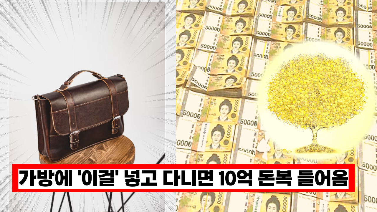  '지금 당장 해보세요' 가방에 '이걸' 넣고 다니면  10억 돈복이 들어옵니다.