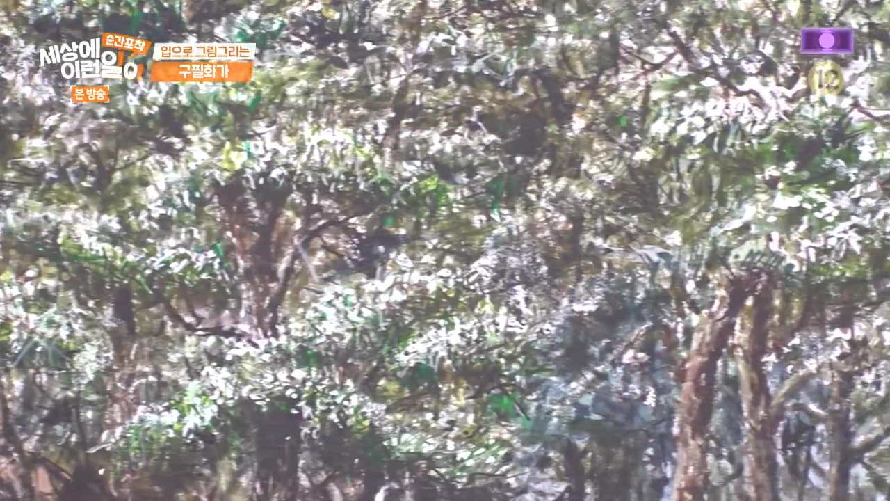 순간포착 세상에 이런일이.E1252.231112p-NEXT.mp4_20231112_165357.606.jpg