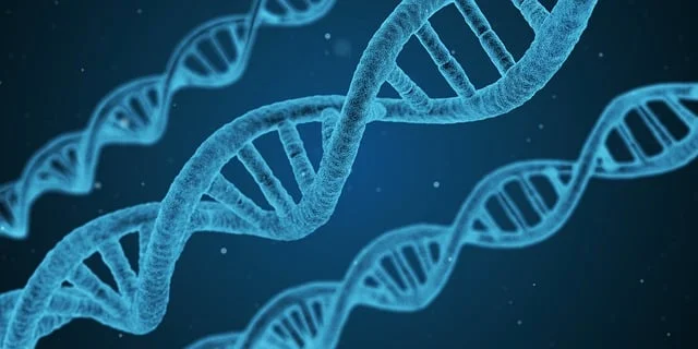 혈우병 관리 및 치료 가이드 | 출혈 예방 방법