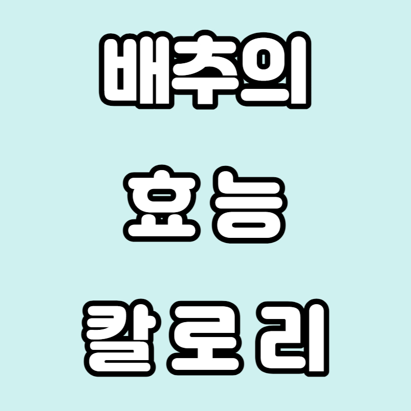  배추 효능과 칼로리를 알아보자!