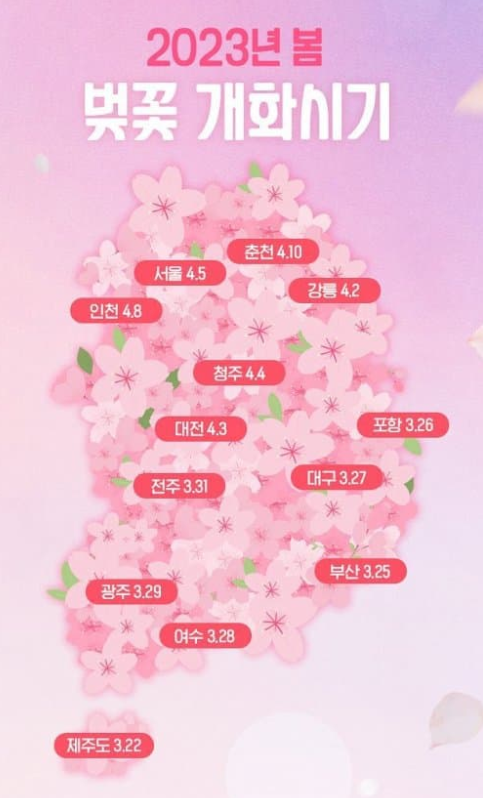2023 벚꽃 개화시기 지도