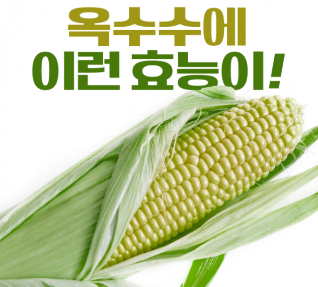 옥수수 효능