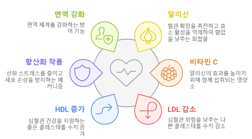 마늘&amp;알리신 효능