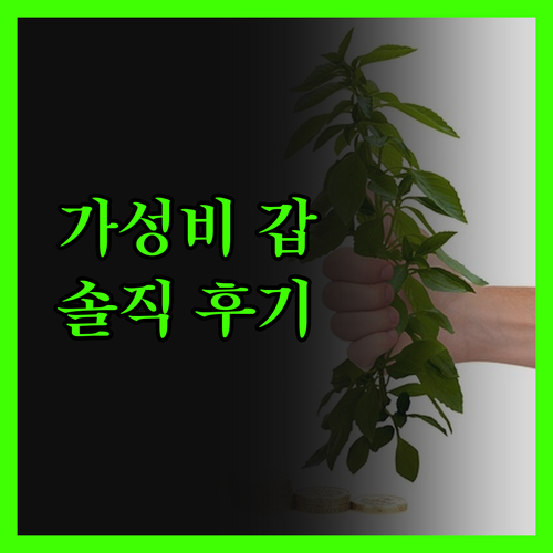 룬 호텔 마나도, 가격 이상의 가치?