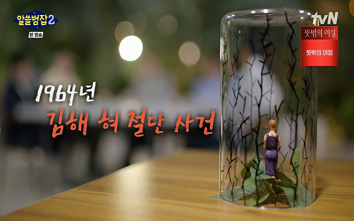알쓸범잡 2.E16.220502p-NEXT.mp4_20220502_175807.550.jpg