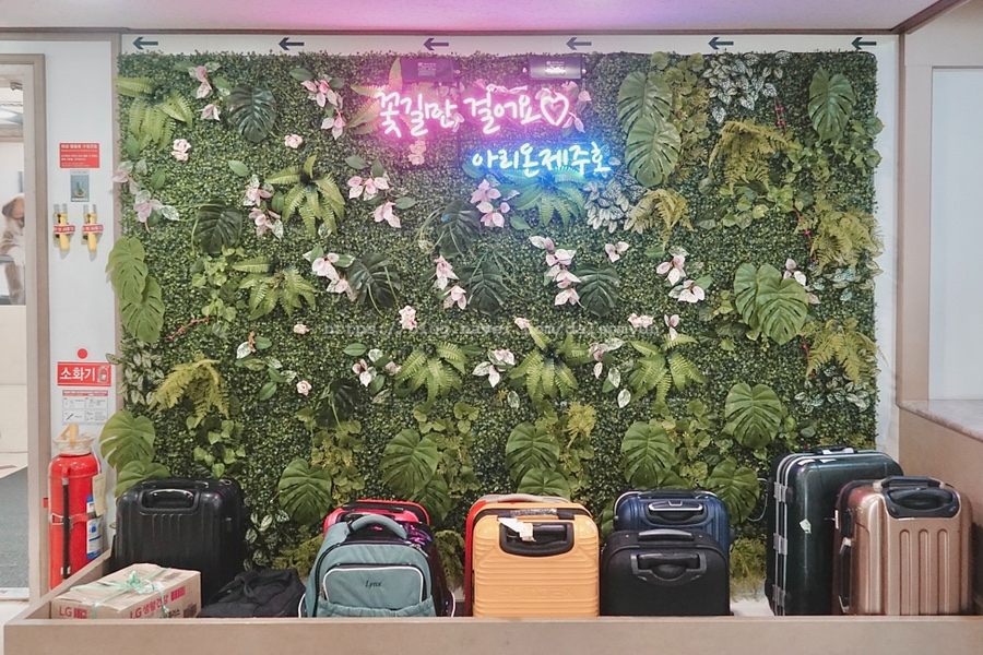 배타고 제주도 아리온제주호 (주)남해고속 제주도 차량선적 비용, 31