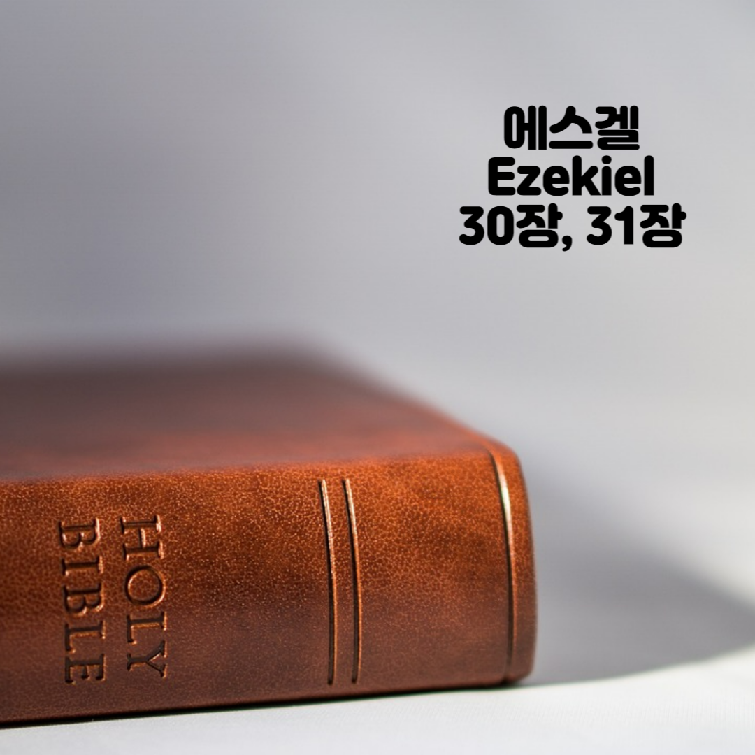 Holy BIBLE 생명의 삶 영어 한글 성경 말씀 - 에스겔(Ezekiel) 30장&#44; 31장