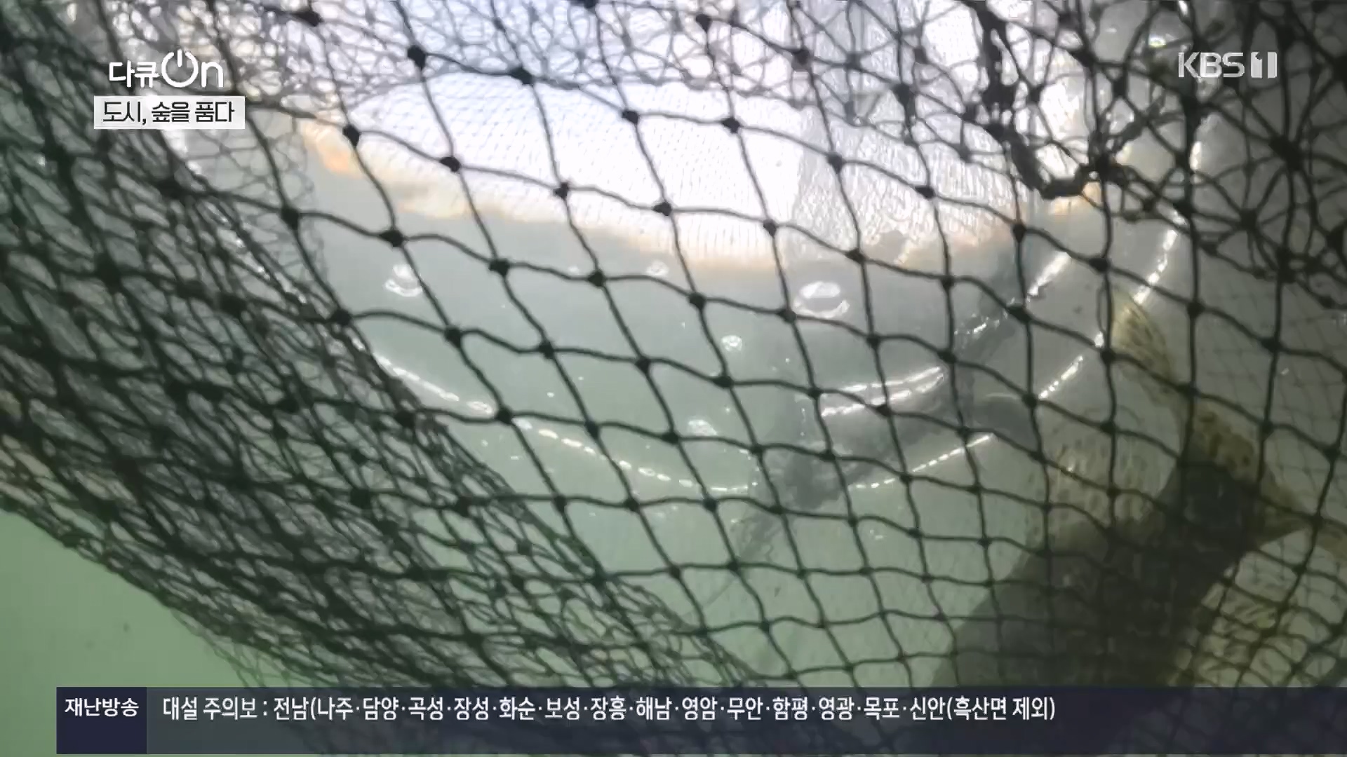 다큐 On.E232.231216p.H264-F1RST.mp4_20231220_212233.633.jpg