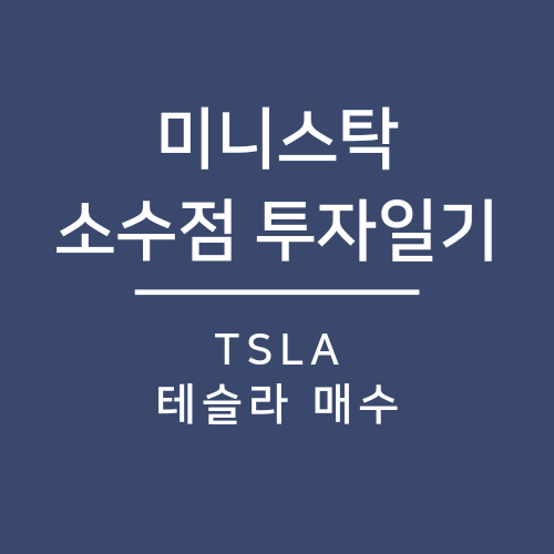  미니스탁 테슬라 매수일기