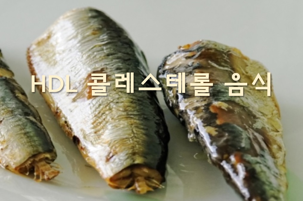  HDL 콜레스테롤 수치를 높이기 위한 음식은?