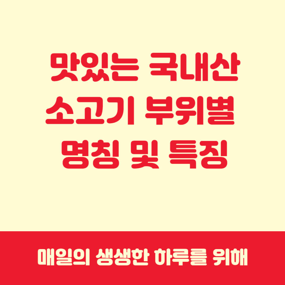 소고기부위