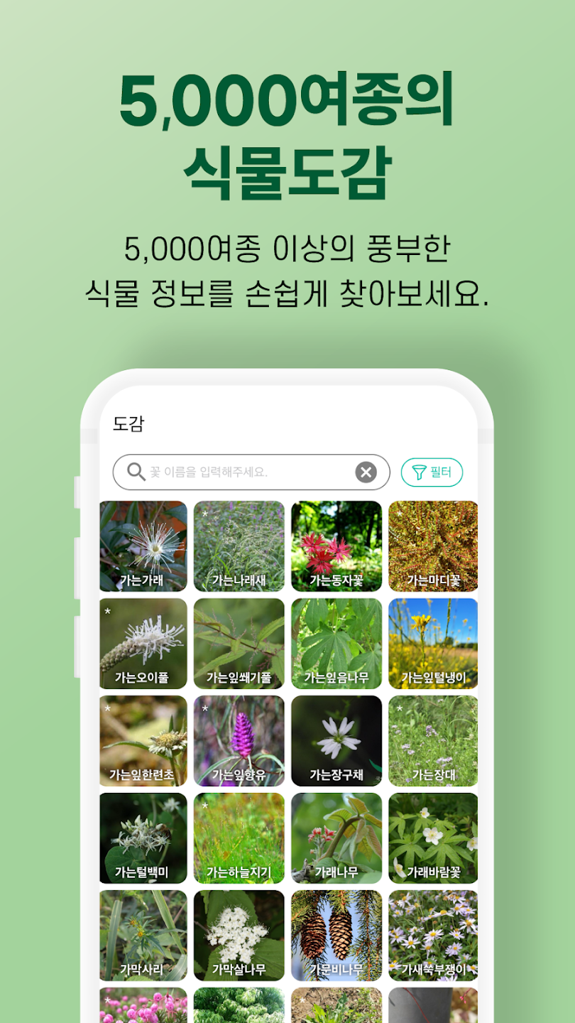 왓캠 식물 도감