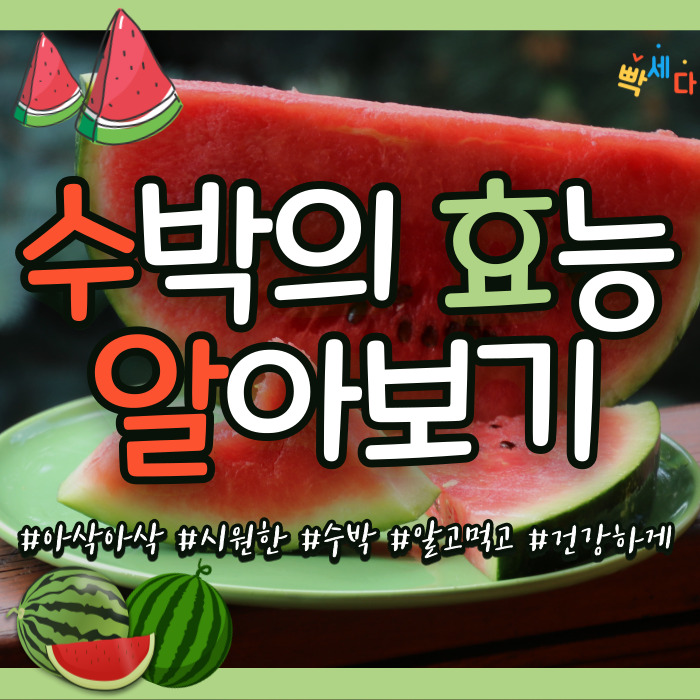  여름에 수박 없으면 큰일이다!! 수박의 효능과 주의점 수박에 대해 알아보기!!