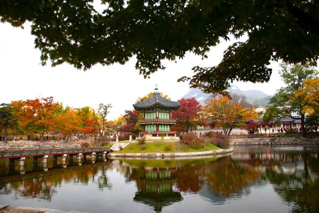 경복궁 안 연못과 단풍나무