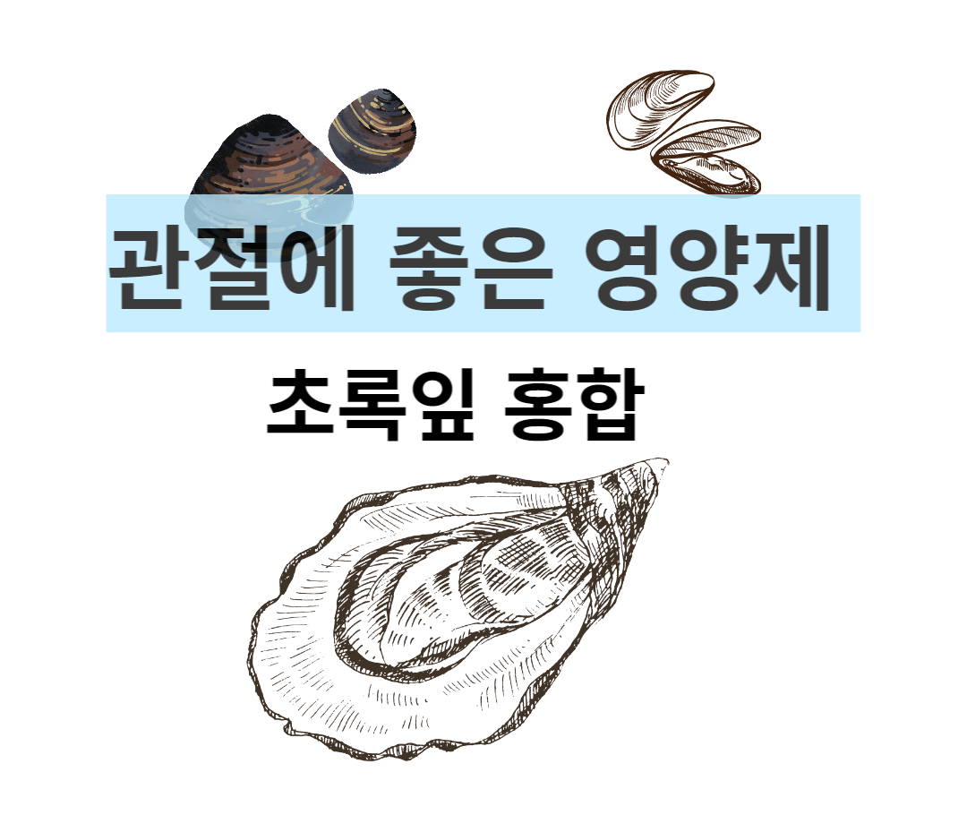 관절에 좋은 영양제 초록잎 홍합 대표 이미지