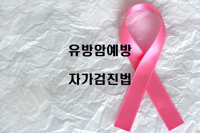  노다지네 잡학다식