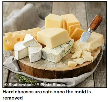 곰팡이 핀 음식 먹어도 괜찮아? Food safety expert reveals the ONLY four foods that are safe to cut mold off and eat...