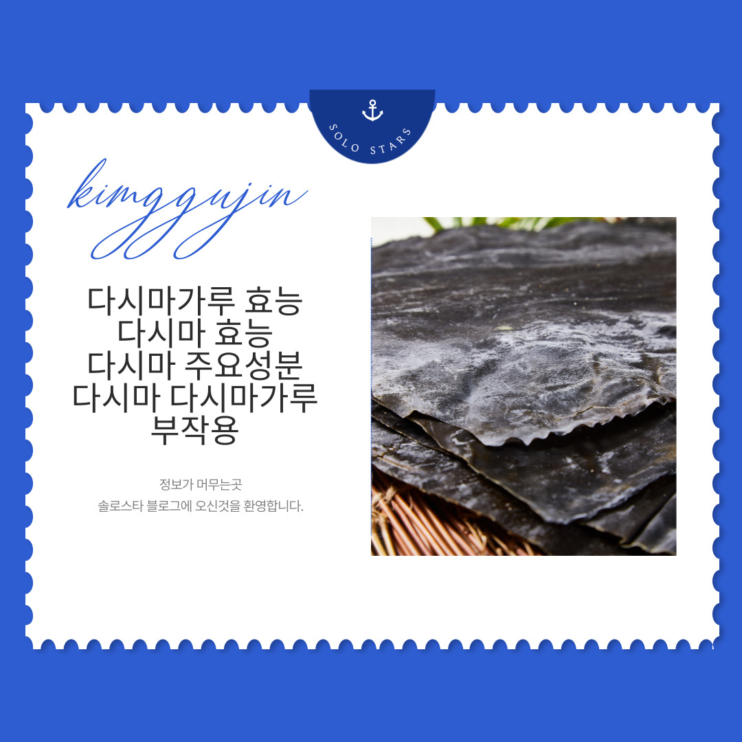 다시마 사진