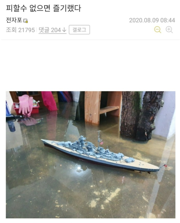  집이 침수되버린 장난감 덕후