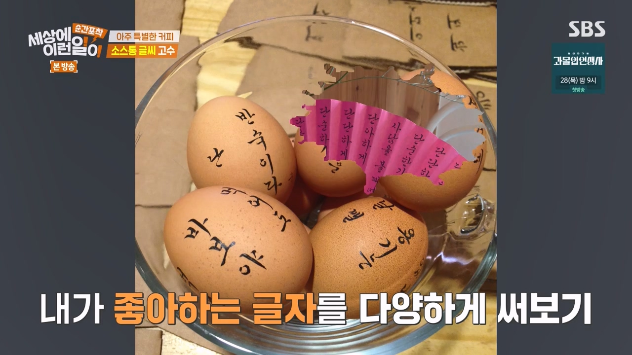 순간포착 세상에 이런일이.E1256.231217p-NEXT.mp4_20231217_173907.191.jpg