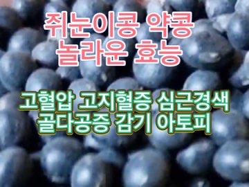 쥐눈이-콩-효능-약콩-부작용-먹는법
