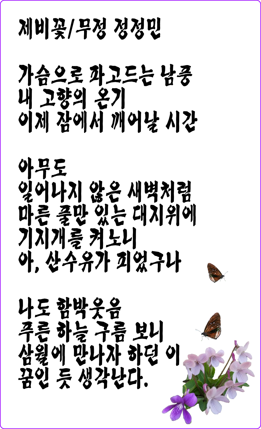 제비꽃 2