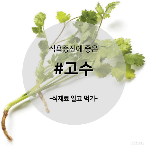  알고 먹기 13. #고수