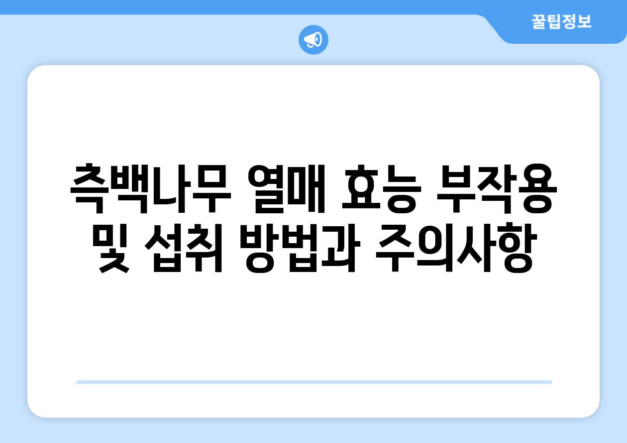 측백나무 열매 효능 부작용 및 섭취 방법과 주의사항