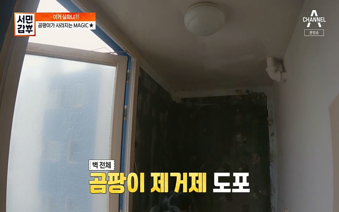 서민 갑부.E393.220724p-NEXT.mp4_20220724_142734.119.jpg