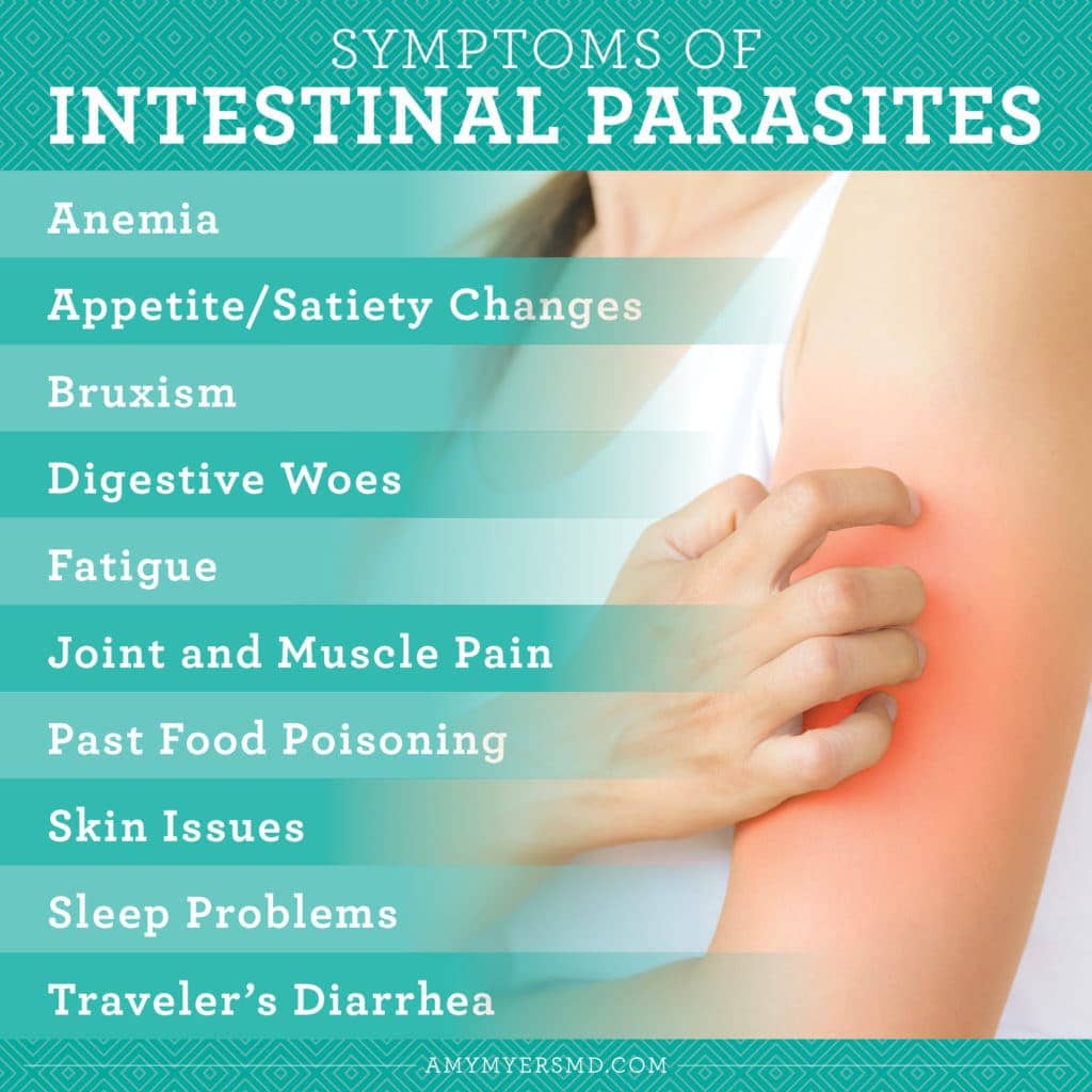 내 뱃 속에 기생충이 있다는 신호들 5 signs you may have intestinal parasites