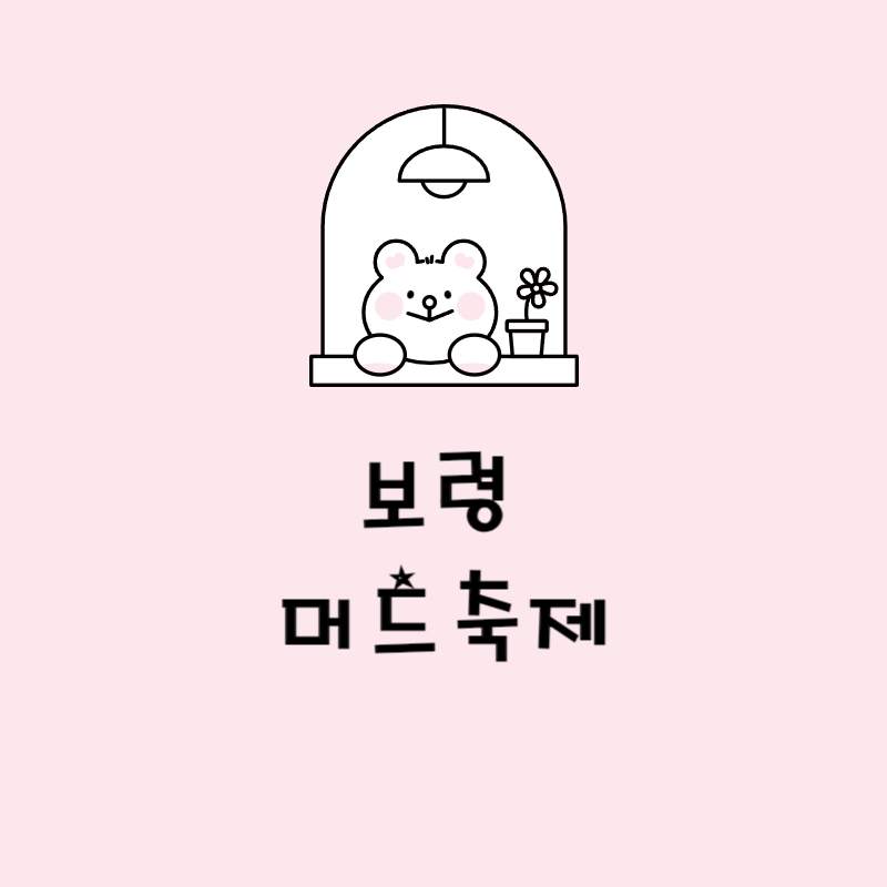 보령머드 축제