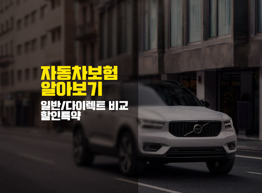  다이렉트 자동차 보험 비교 나의 선택은?