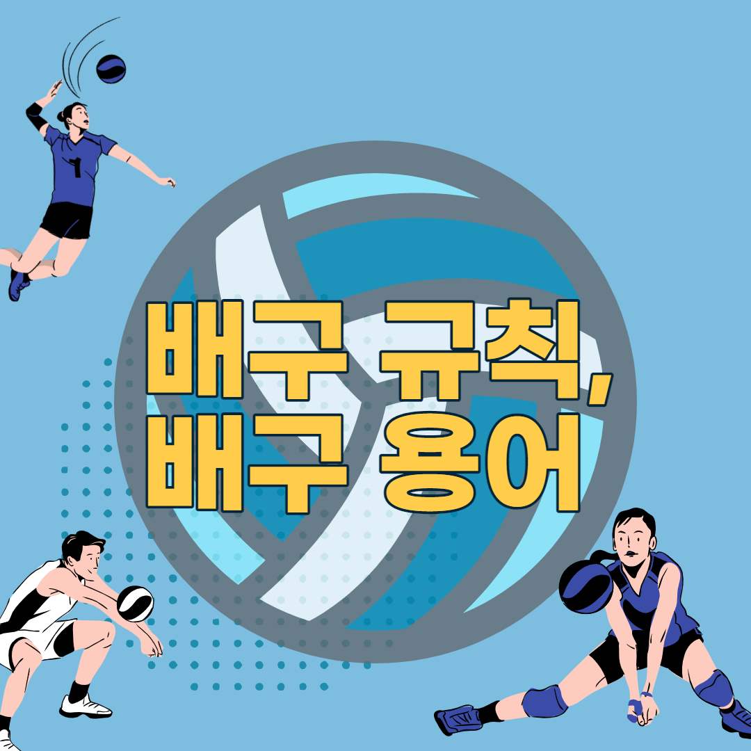  배구 규칙, 배구 용어 알고 2021 도쿄 올림픽 여자 배구 재미 더 재미있게 보자!