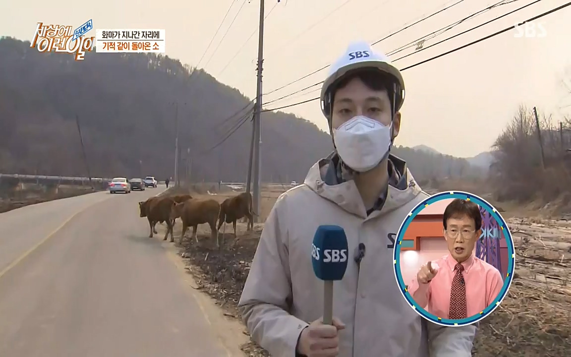 순간포착 세상에 이런일이.E1174.220406p-NEXT.mp4_20220406_174458.150.jpg
