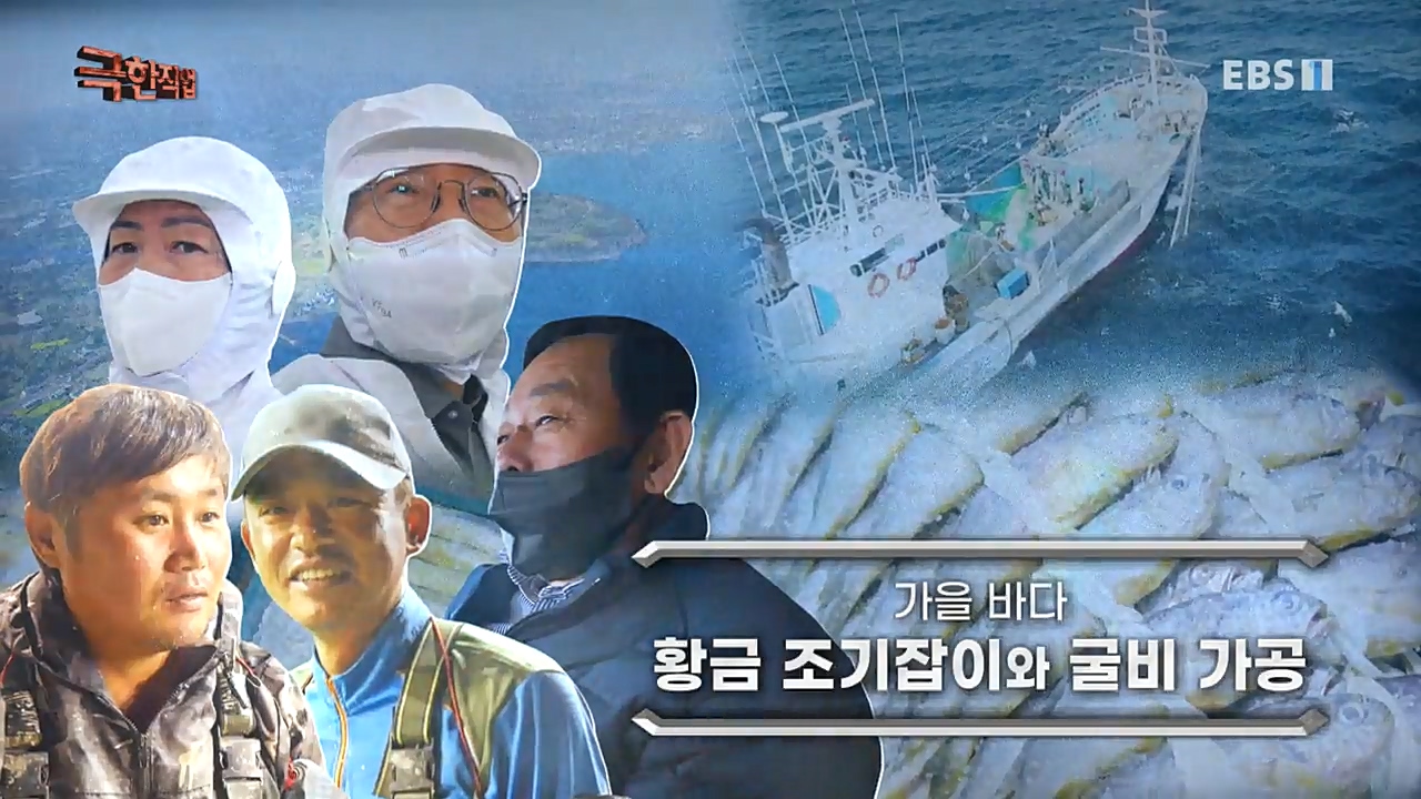 TV - 교육의 중심 EBS가을 바다 황금 조기잡이와 굴비 가공.mp4_20221122_193715.517.jpg
