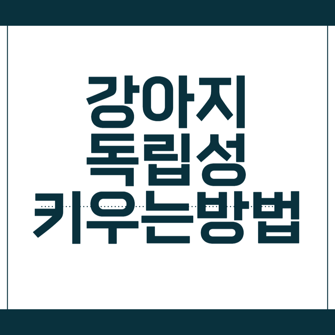 강아지의 독립성 키우기: 혼자 집에 있을 때 안심시키는 방법