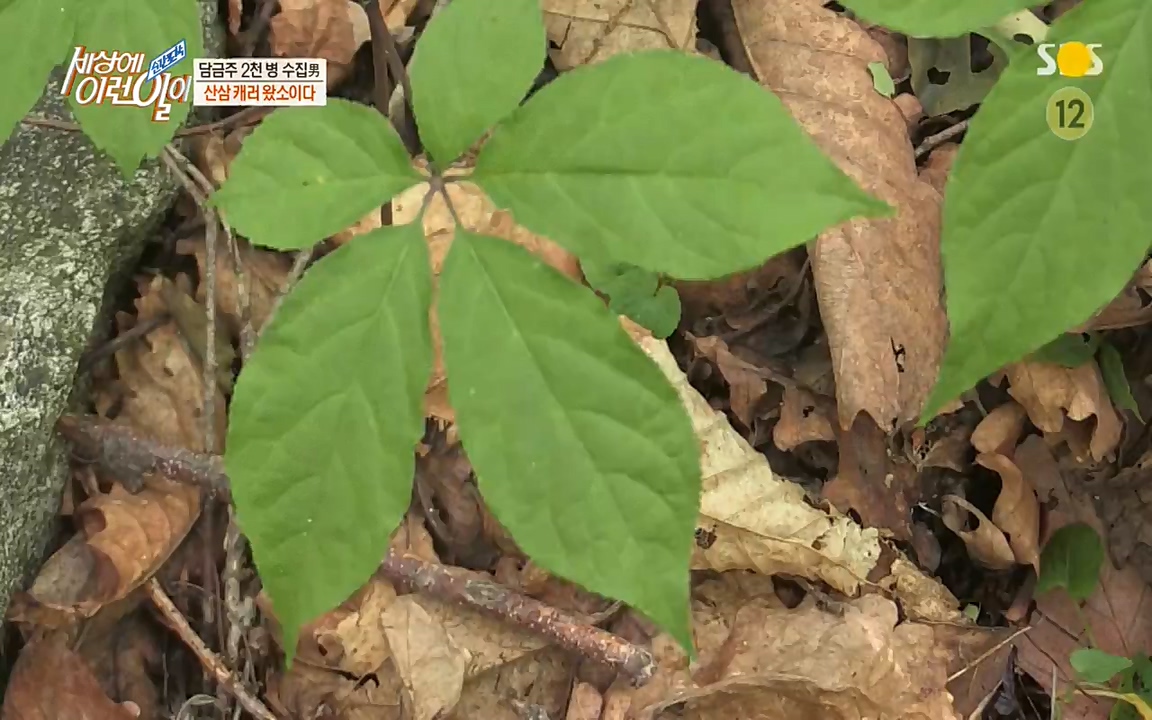 순간포착 세상에 이런일이.E1187.220706p-NEXT.mp4_20220706_202638.472.jpg