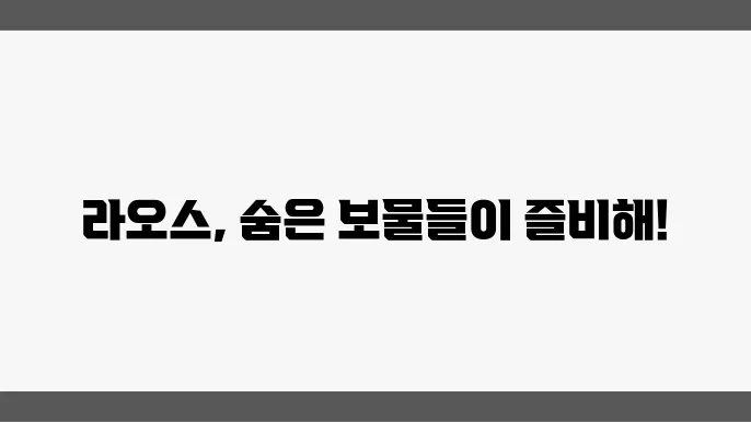 여행 기록: 4박 6일 라오스에서의 특별한 순간들